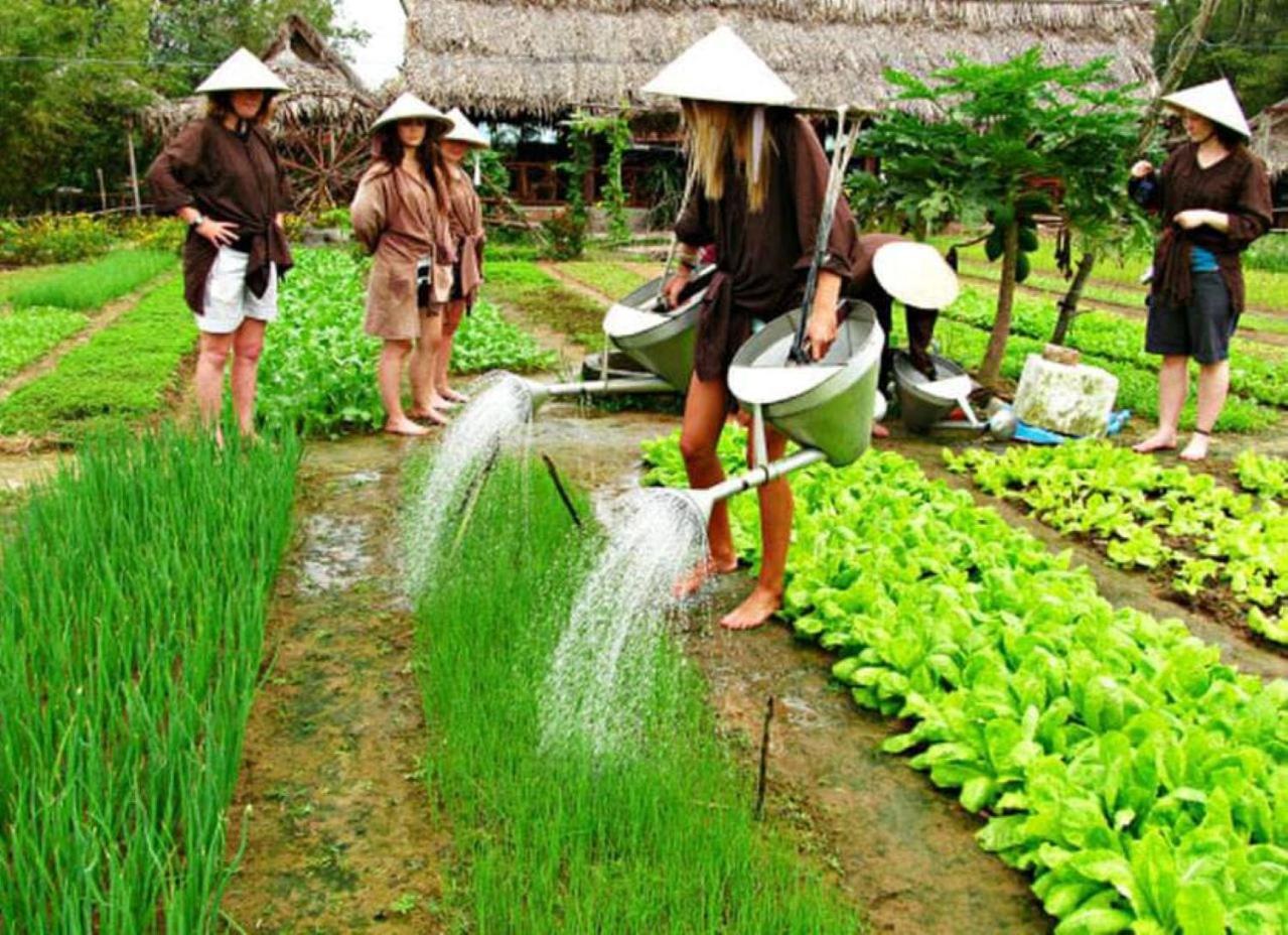 La Gai Homestay Hoi An Eksteriør bilde